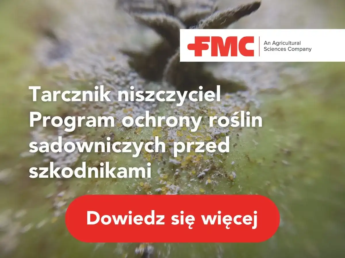 Tarczniki - Jak skutecznie zwalczyć? Poradnik krok po kroku