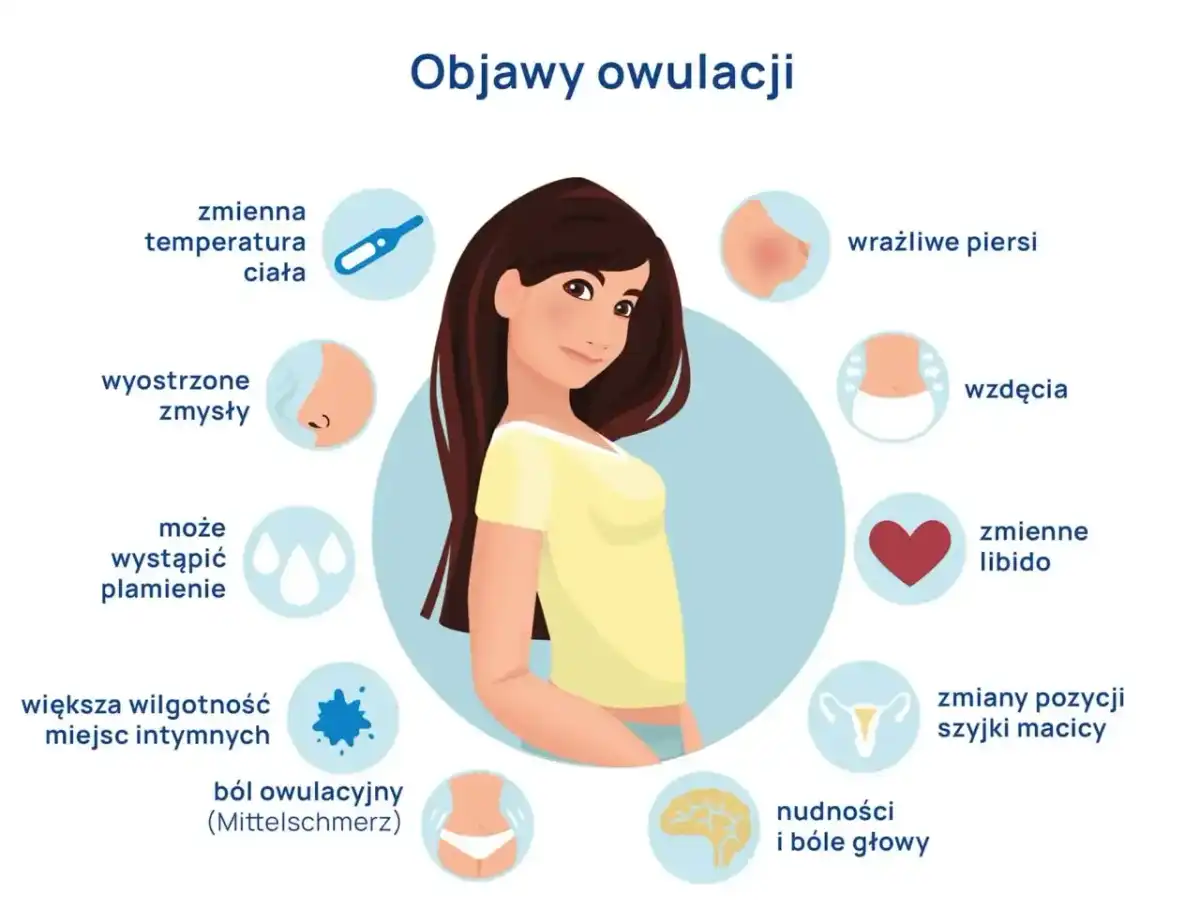 Ból jajnika - jak odróżnić owulację od sygnałów alarmowych?