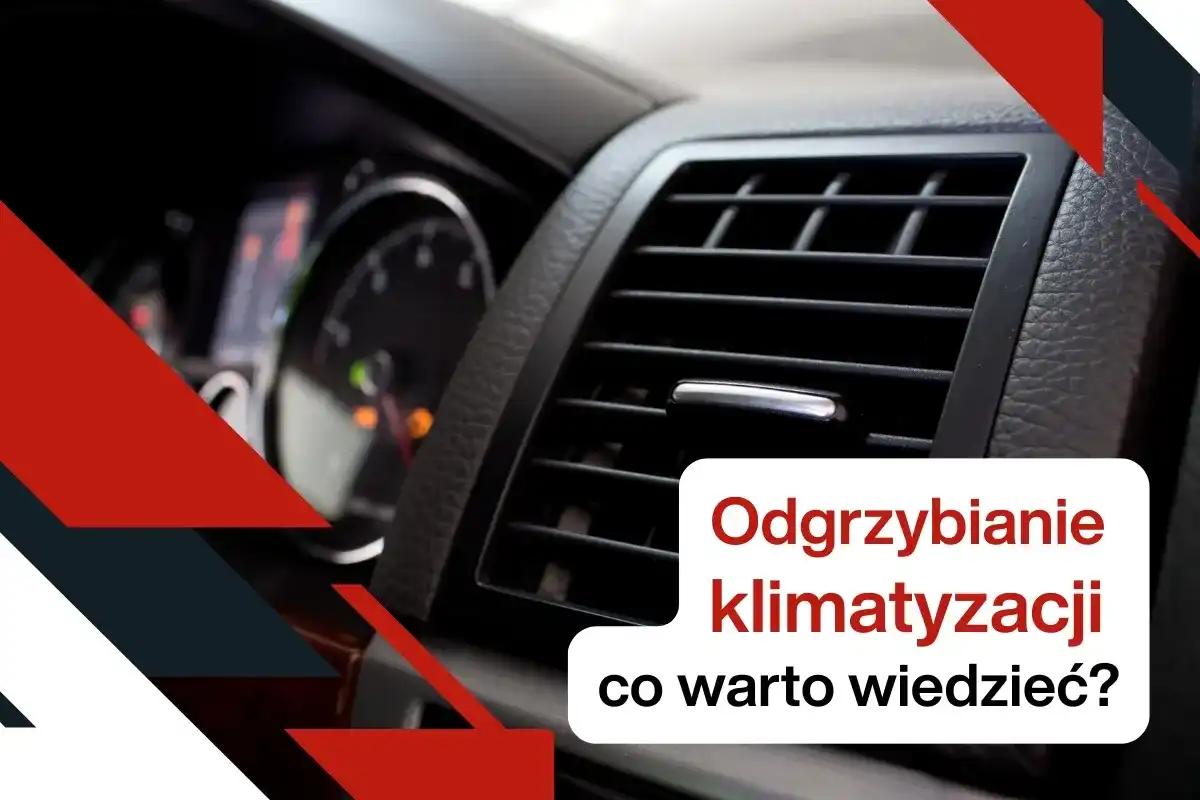 Zagrzybiona klimatyzacja w aucie - Rozpoznaj objawy i odgrzyb ją!
