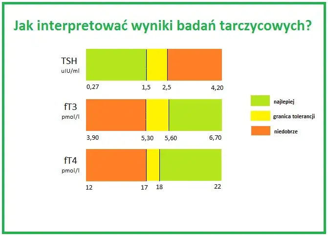 Badania tarczycy: Jakie wykonać? Kompleksowy przewodnik
