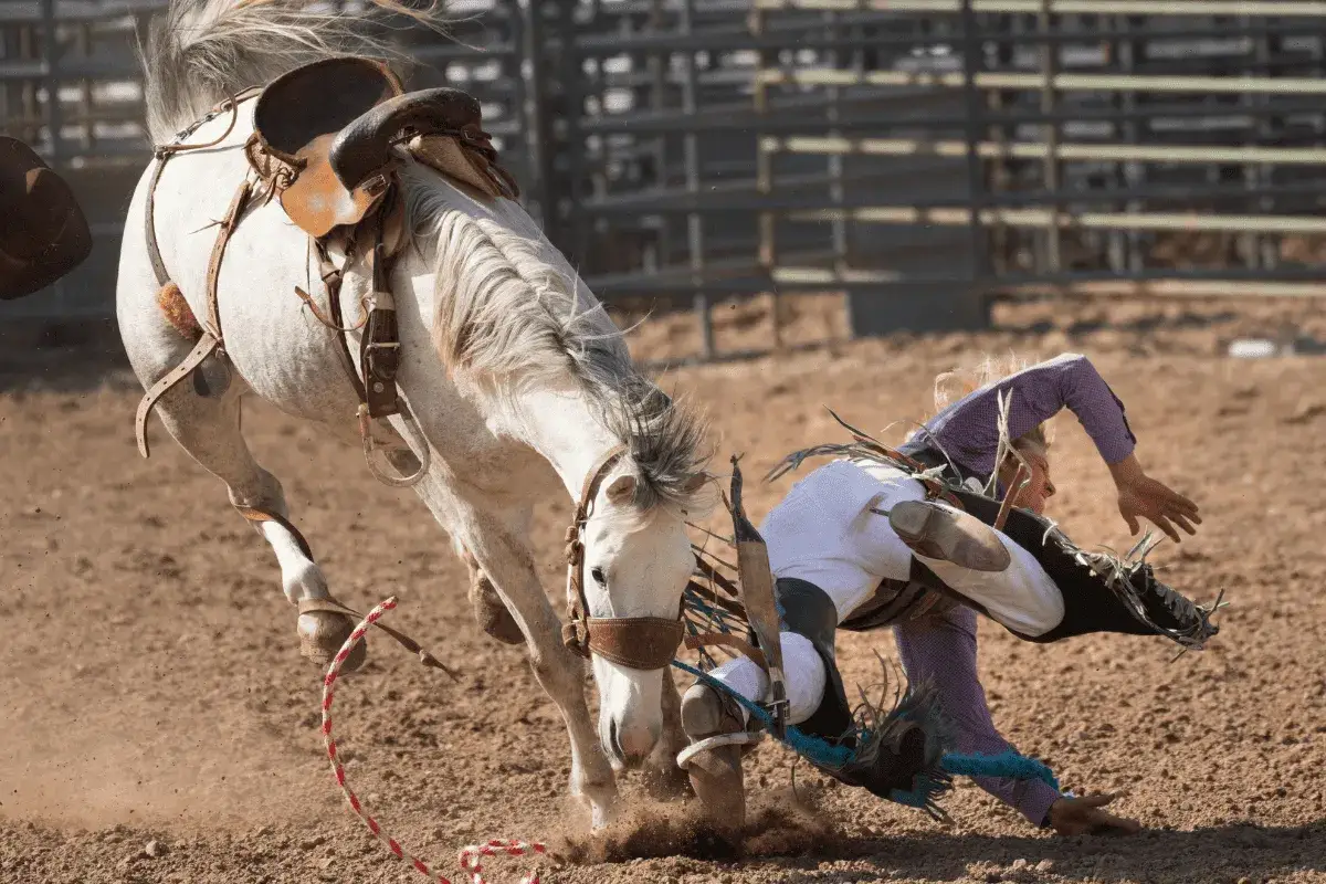 Niebezpieczny upadek z konia podczas rodeo. Jeździec leci w powietrzu, koń szaleje.