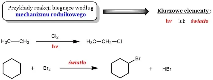 Zrozum mechanizm rodnikowy: etapy, przykłady i zastosowania w chemii