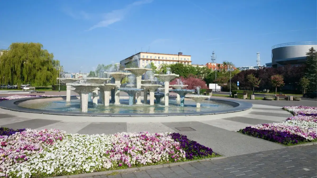 Fontanna w Gdyni, stare miasto, otoczona kolorowymi kwiatami i zielenią.
