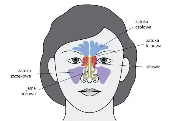 Skuteczne leki na zapalenie zatok - ulga w bólu i dyskomforcie