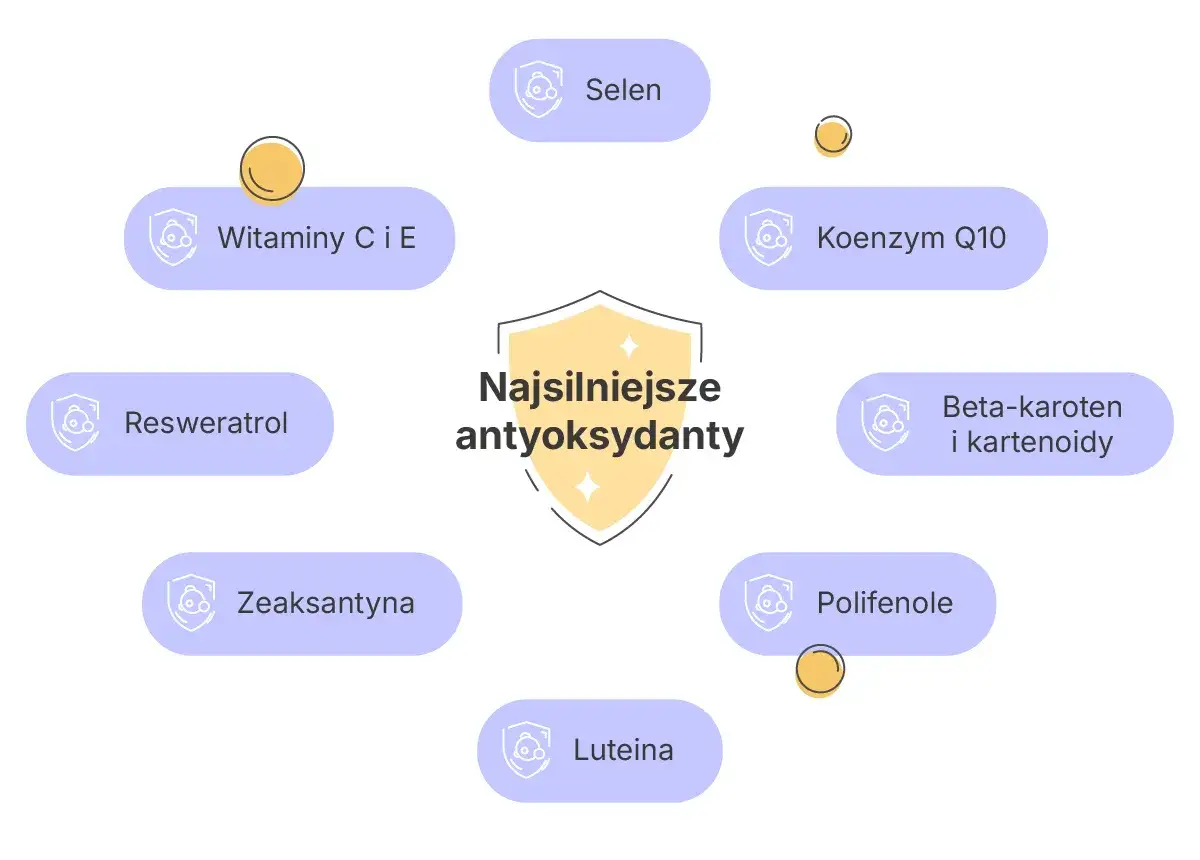 Najsilniejsze antyoksydanty w kosmetykach: witaminy C i E, selen, koenzym Q10, beta-karoten, reswerweratrol, polifenole, luteina, zeaksantyna.