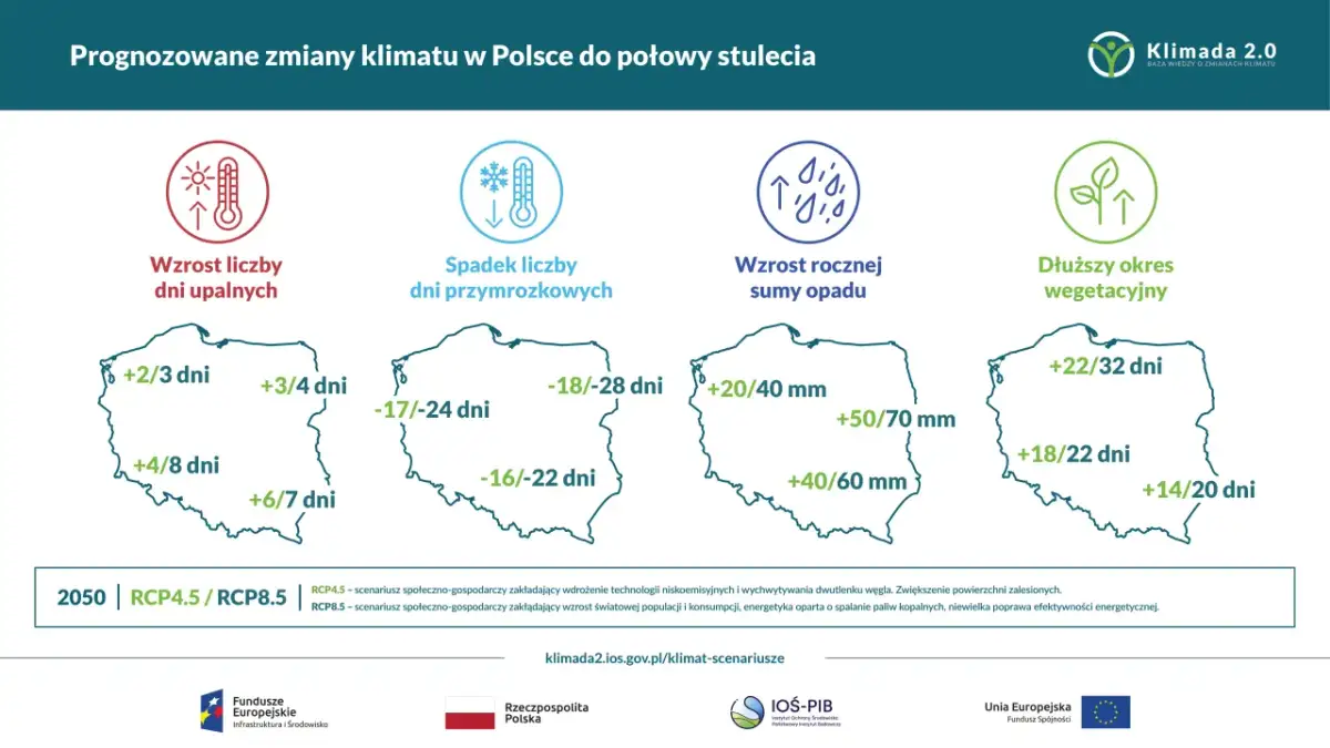 Zmiany klimatu w Polsce: fakty, prognozy i wpływ na Twoje życie