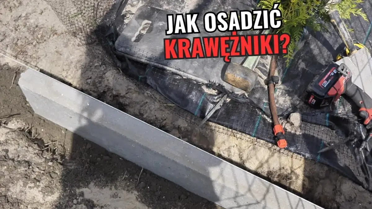 Trwały podjazd: Jaki krawężnik wybrać? Uniknij kosztownych błędów!