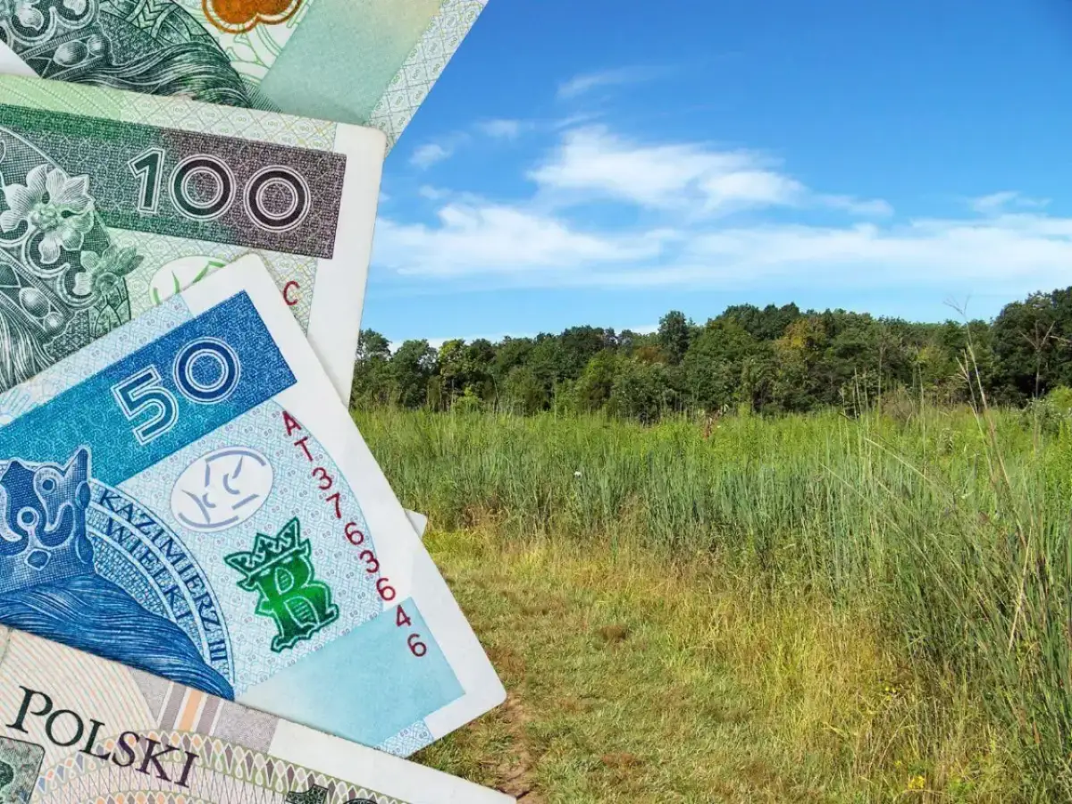 Polskie banknoty 50 i 100 zł na tle zielonej łąki i lasu. Zastanawiasz się, ile kosztuje 1 ha łąki?