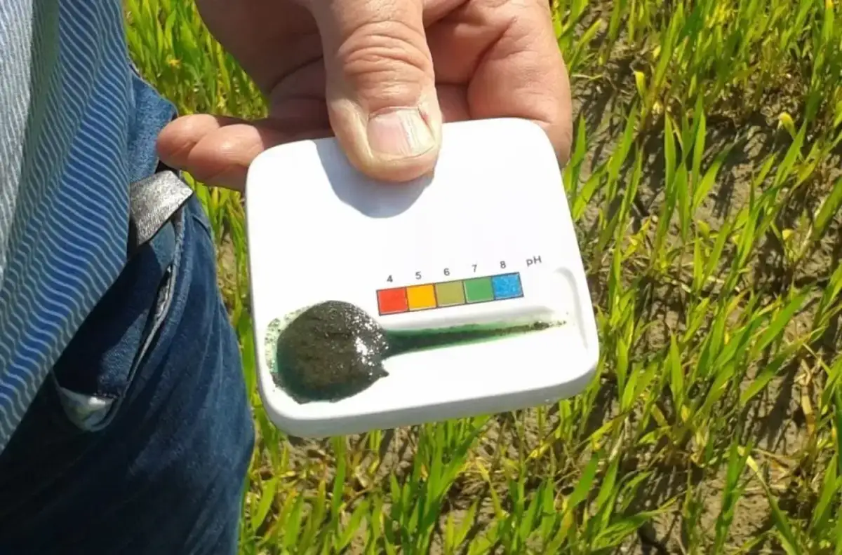 Dłoń trzyma tester pH gleby z próbką ciemnej ziemi i zielonym zabarwieniem.