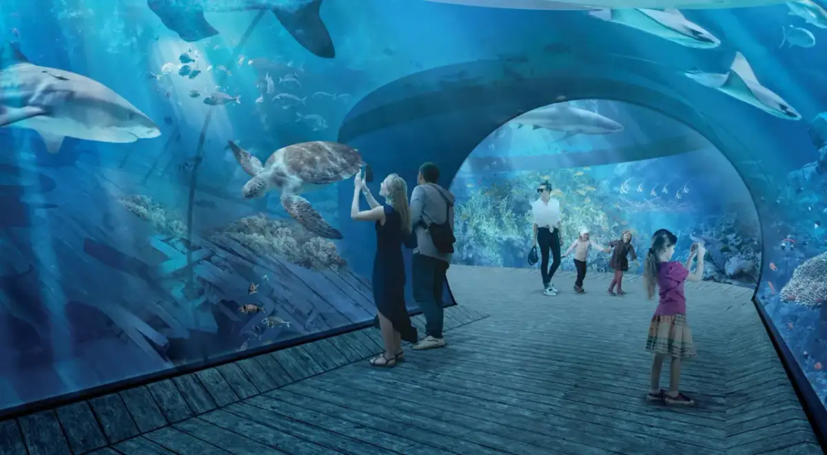 Rodzina podziwia rekiny i żółwie w podwodnym tunelu. Sprawdź oceanarium Gdańsk cennik i zaplanuj wizytę!