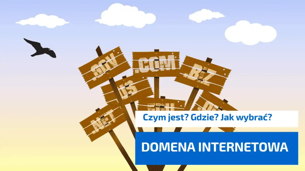 Drewniane tabliczki z nazwami domen internetowych (.com, .net, .org, .biz) na tle nieba z ptakiem.
