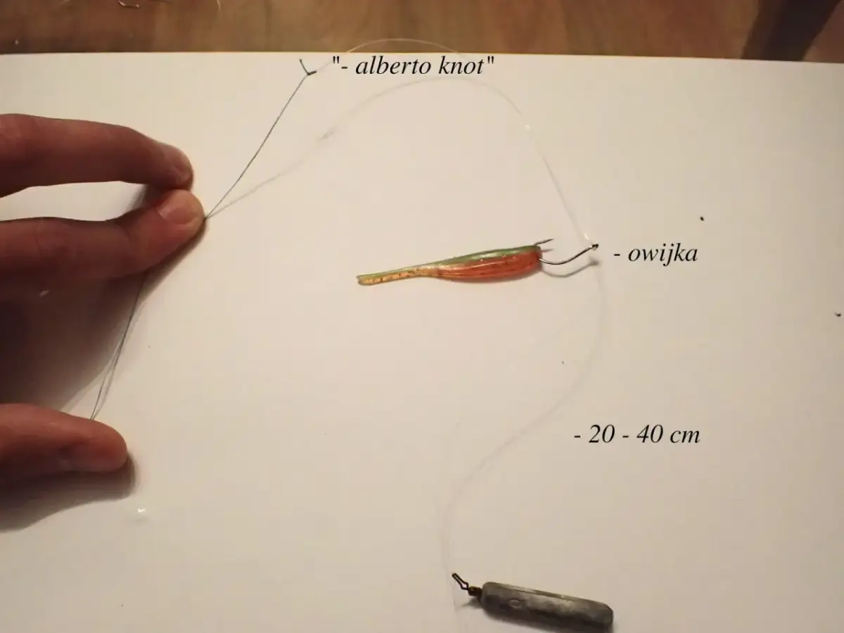 Metoda drop shot na rzece: jak utrzymać ciężarek w miejscu podczas brań. Zobacz, jak zawiązać "alberto knot" i jak zamontować przynętę.