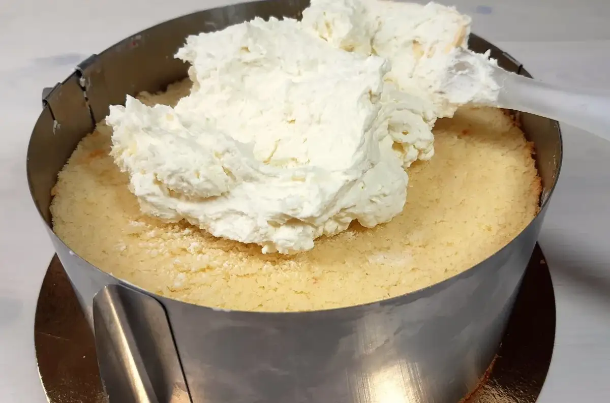 Nakładanie puszystej masy z mascarpone na biszkopt w tortownicy.