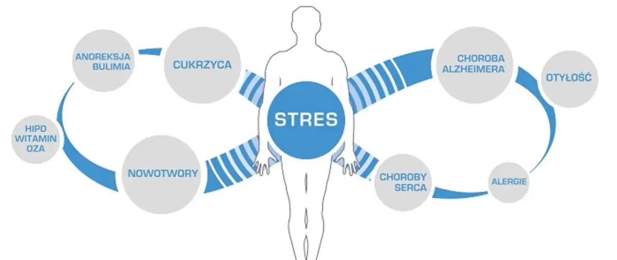 Stres jako źródło chorób cywilizacyjnych: anorexia, bulimia, cukrzyca, nowotwory, choroby serca, alergie, choroba Alzheimera, otyłość, hipowitaminoza.