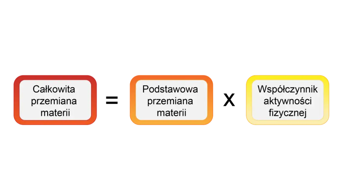 Diagram przedstawia: Całkowita przemiana materii, Podstawowa przemiana materii, Współczynnik aktywności fizycznej. To wyjaśnia, cpm co to.