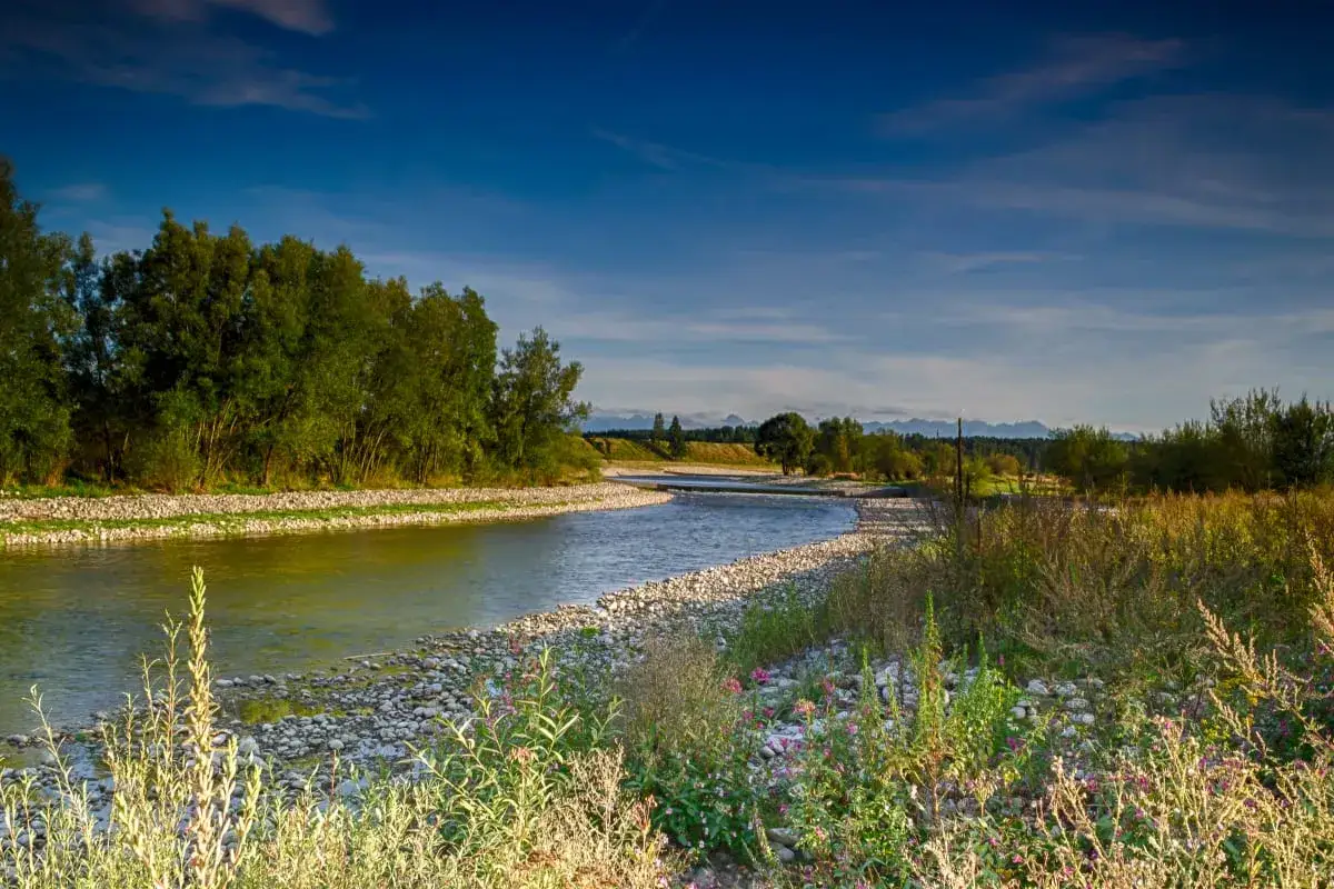 Czarny Dunajec: Atrakcje, torfowiska i idealna baza na Podhalu