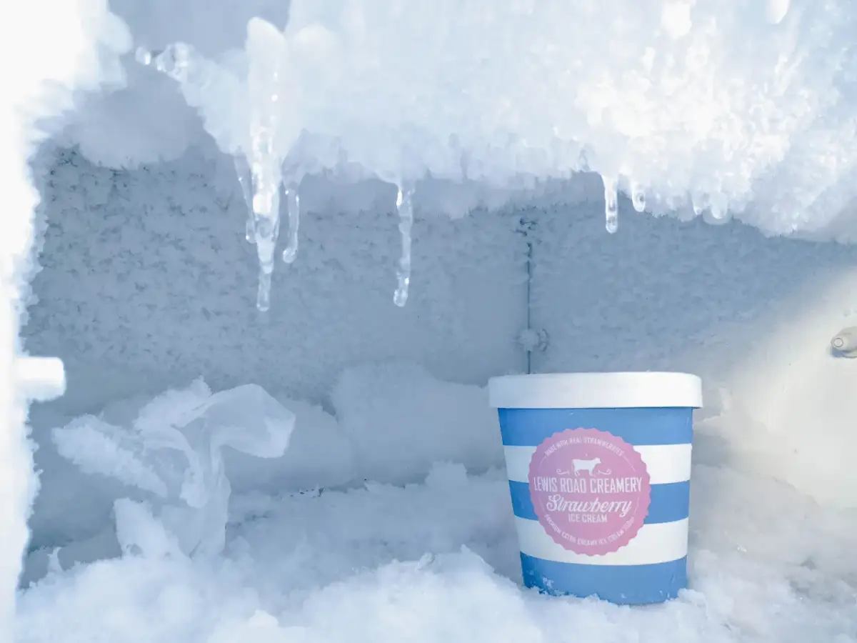 Rozmrażanie No Frost: 30 min czy 24h? Pełny przewodnik