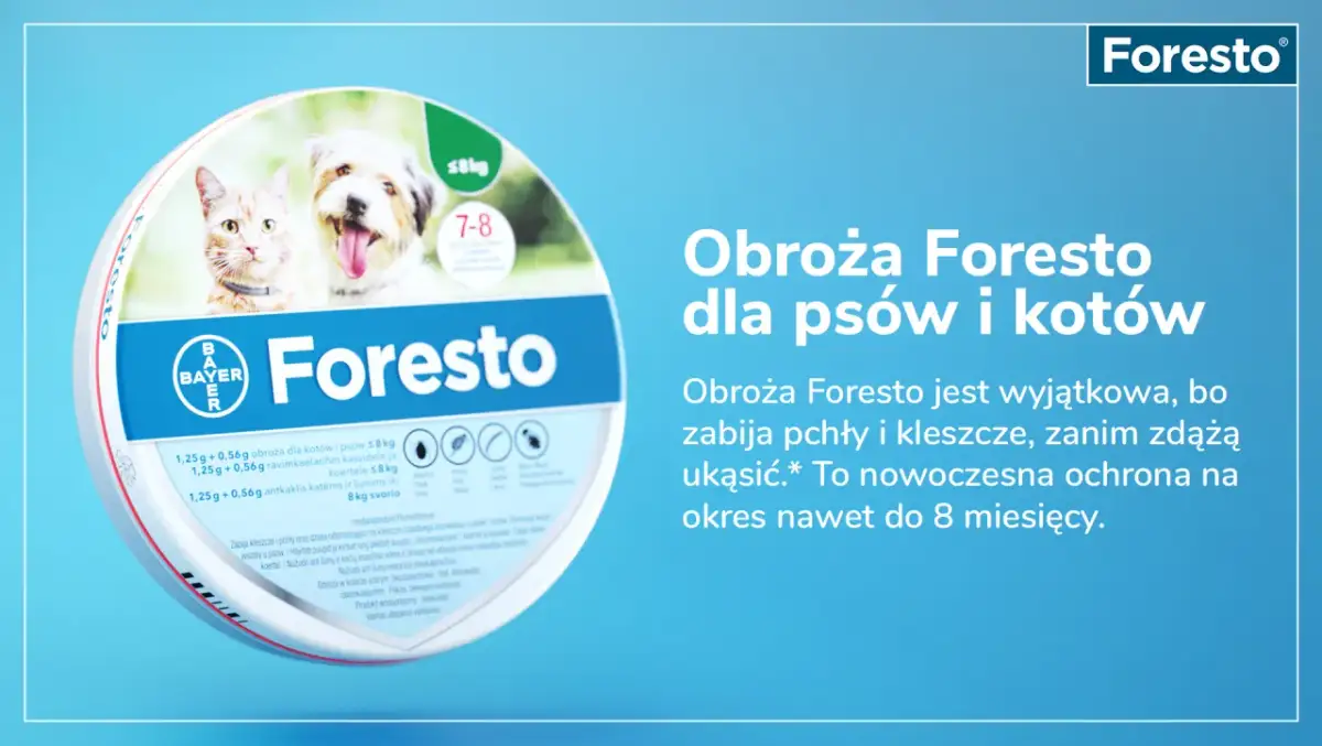 Obroża Foresto kiedy zdjąć – uniknij problemów z pchłami i kleszczami