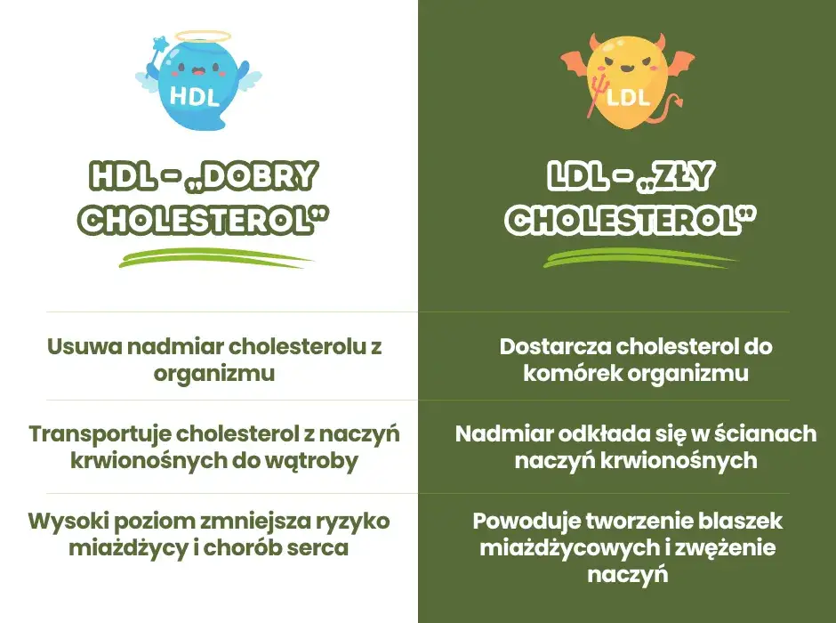 Norma cholesterolu HDL - poznaj zdrowe wartości i ich znaczenie