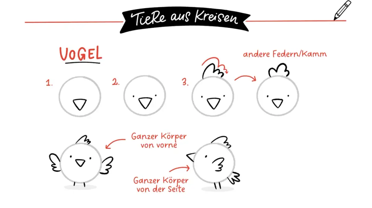 Schritt-für-Schritt-Anleitung zum Zeichnen eines Vogels aus Kreisen.