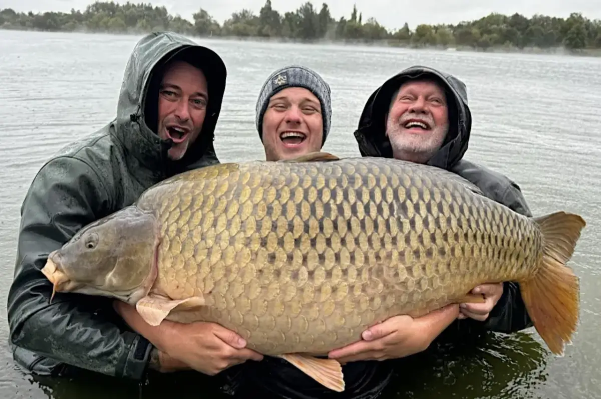 Trzech wędkarzy z dumą prezentuje gigantycznego karpia, prawdopodobnie nowy rekord. Ryba jest ogromna, a jej łuski lśnią w wodzie.