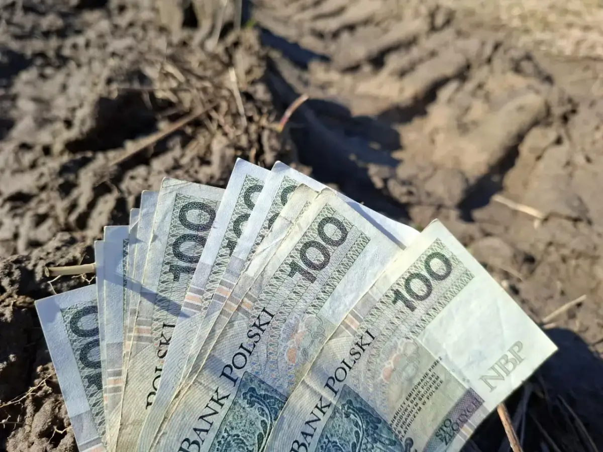 Stos banknotów po 100 zł leży na ziemi. Czy to zapowiedź przyszłej renty planistycznej?