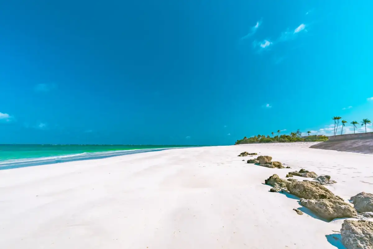 Kiedy jechać do Kenii? Najlepsze okresy na safari i plażowanie