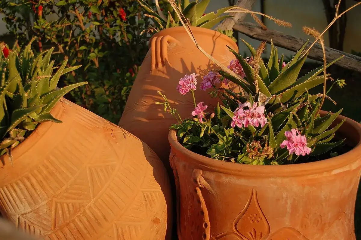Las mejores plantas que poner en tinajas de barro para tu jardín