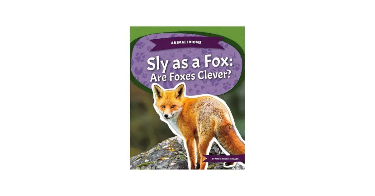 Rudy lis na kamieniu, okładka książki "Sly as a Fox: Are Foxes Clever?".