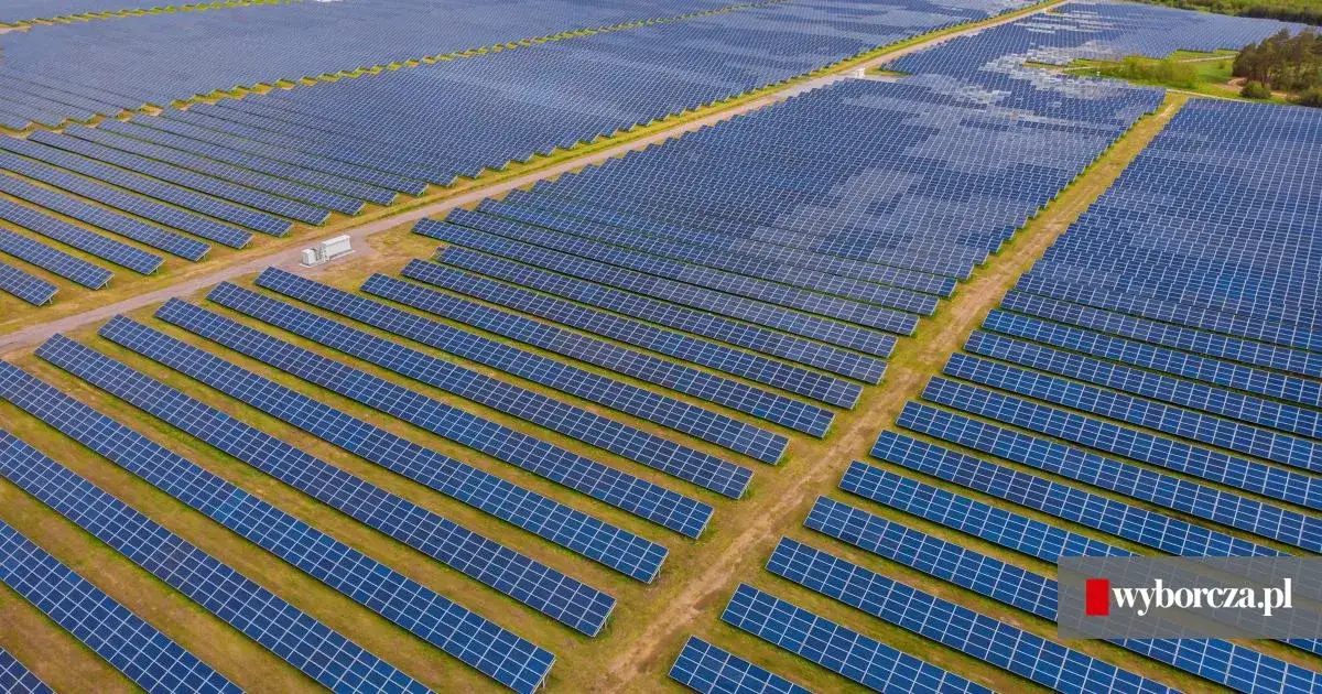 Inwestycja w farmę PV 2026: koszty, zyski, pułapki. Czy warto?