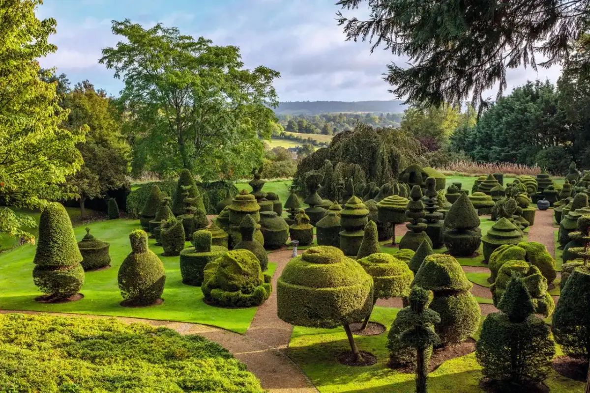 Niezwykły ogród w Friar Park, pełen fantazyjnie przyciętych krzewów, tworzących rzeźby i figury.