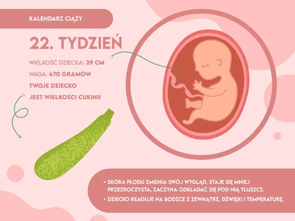 Jak wygląda dziecko w 22 tygodniu ciąży? Zaskakujące zmiany i rozwój