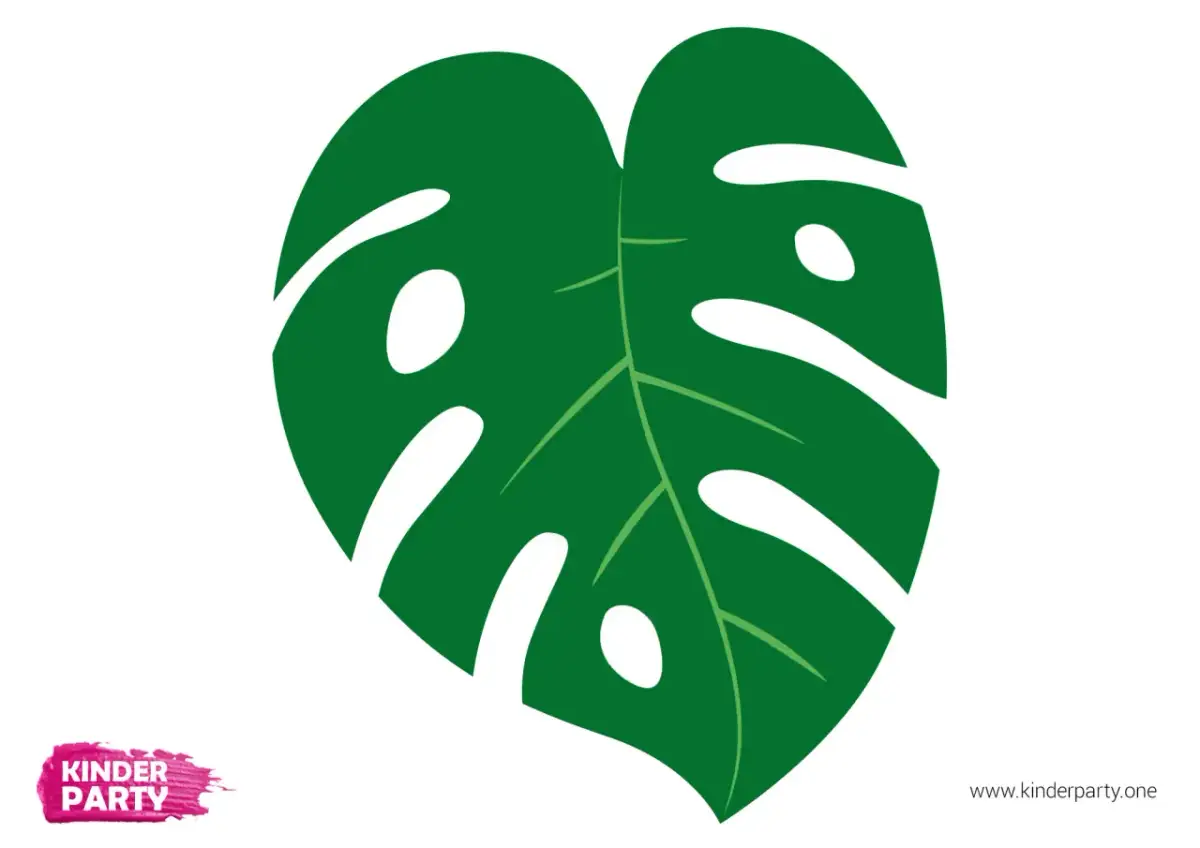 Grünes Monstera-Blatt mit Schlitzen und Löchern auf weißem Hintergrund.