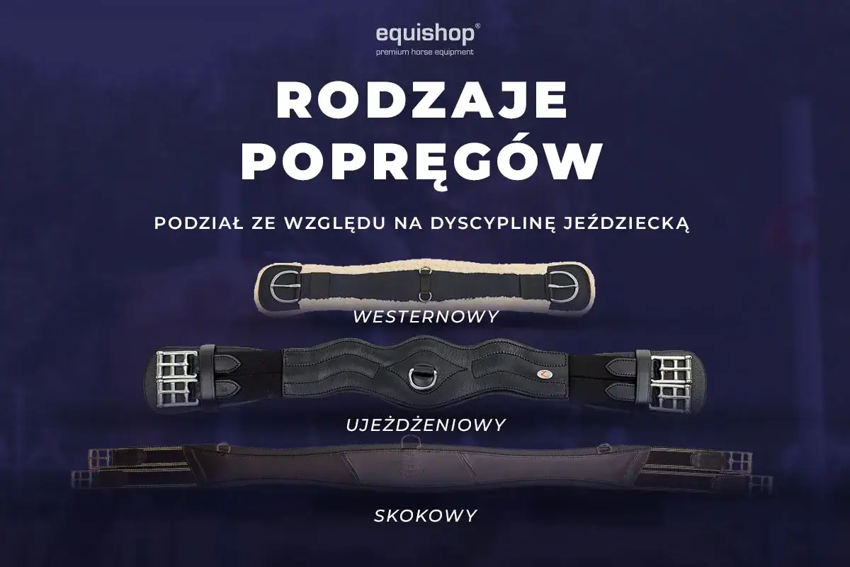 Trzy rodzaje popręgów dla konia: westernowy, ujeżdżeniowy i skokowy. Każdy popręg dopasowany do dyscypliny jeździeckiej.