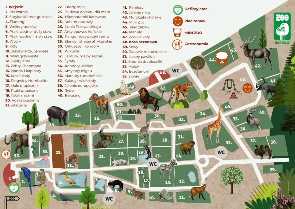 Mapa zoo w Krakowie z zaznaczonymi zwierzętami i atrakcjami.