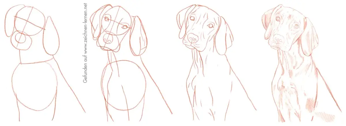 Hund malen einfach: Schritt-für-Schritt-Anleitung für Anfänger