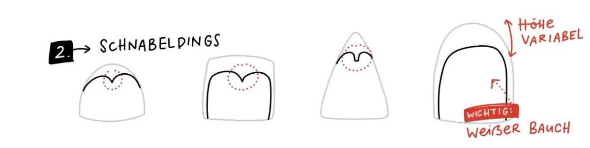 Schritt 2: Schnabelformen und weißer Bauch bei Pinguinzeichnungen.