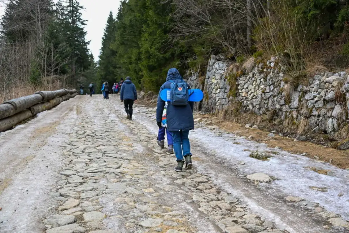 Dlaczego wiosną zamykane są szlaki w polskich parkach narodowych?