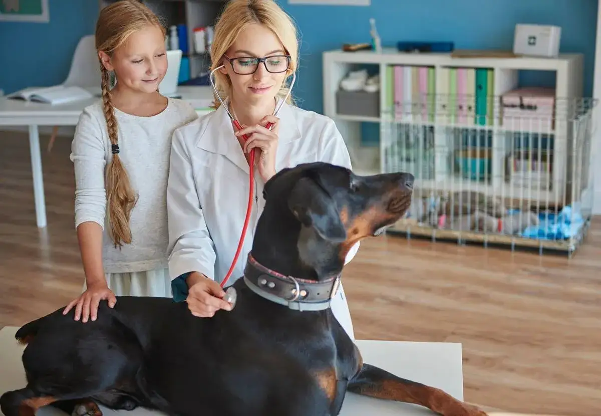 Co ile odrobaczać psa? Kluczowe wskazówki dla zdrowia pupila