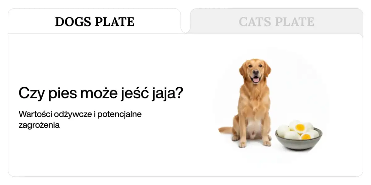 Złoty retriever siedzi obok miski z jajkami na twardo.