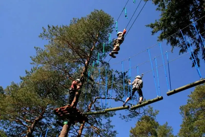 Park linowy Karpacz: Tarzan trasy, ceny i bezpieczeństwo dla rodzin
