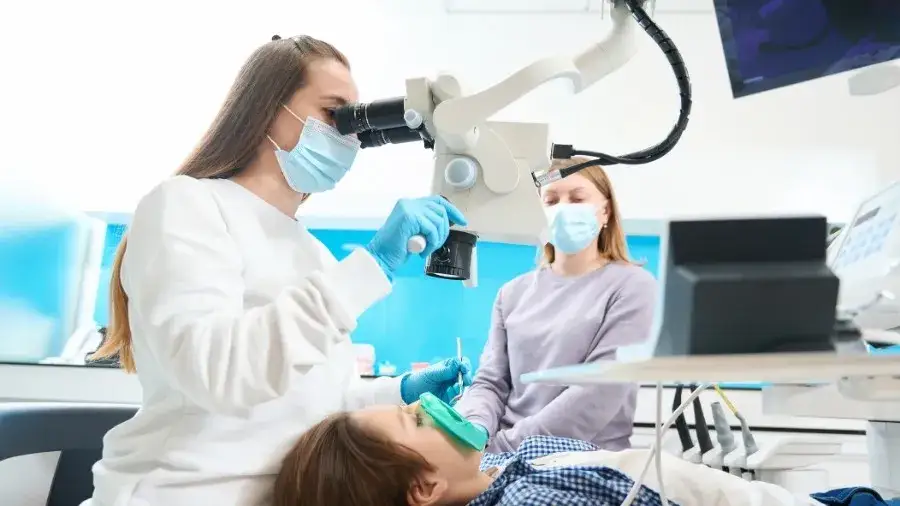 Dentysta a stomatolog: Jaka jest różnica w Polsce? Wyjaśniamy