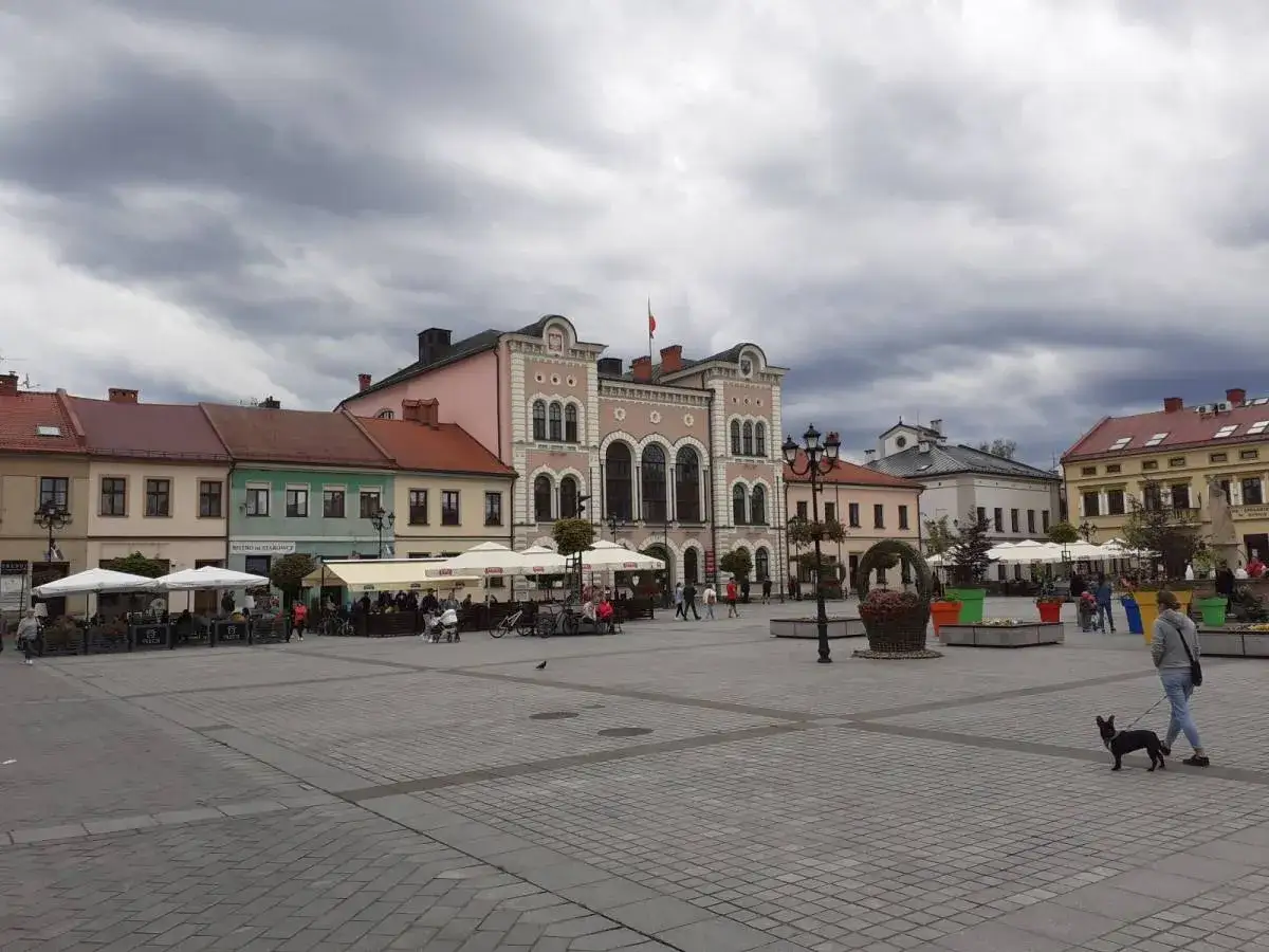 Spacer po żywiec rynek z psem. W tle kamienice i kawiarniane ogródki.