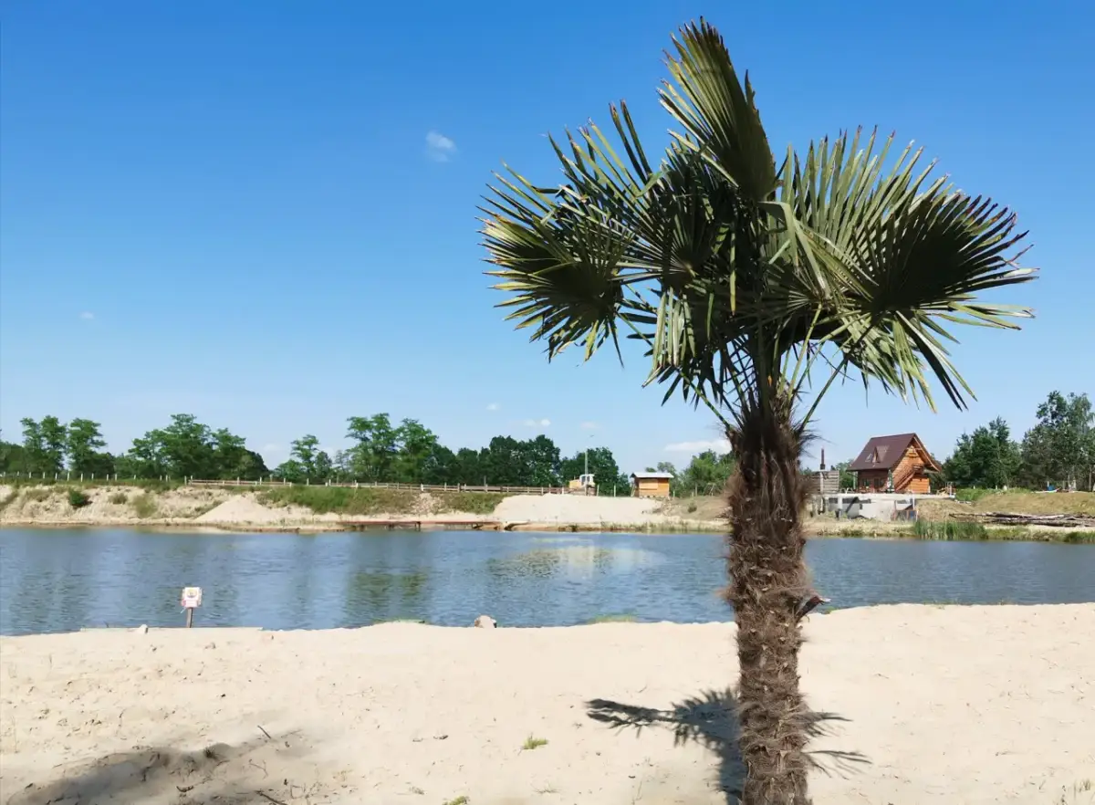 Zalew Kakałko Podlesie Dębowe: Przewodnik, Cennik i Atrakcje