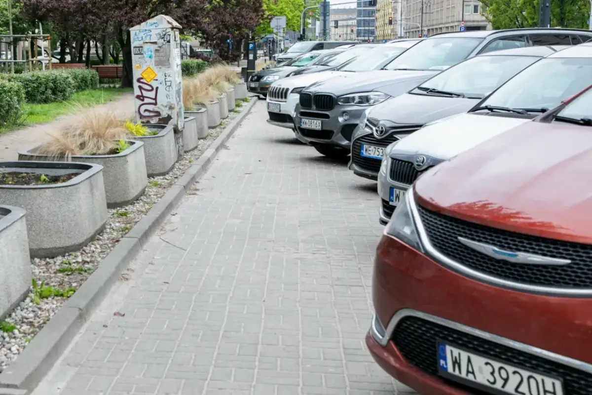 Rząd zaparkowanych samochodów na chodniku, obok donic z trawą.