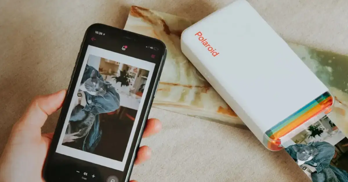 Jak wydrukować zdjęcie z telefonu? Smartfon z kotem i drukarka Polaroid w akcji.