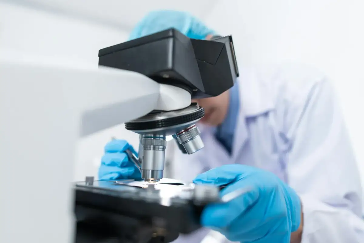 Biotechnologia - jakie przedmioty na maturze, aby nie przegapić szansy