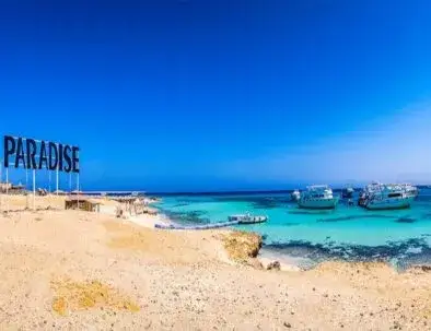 Wyspa Paradise czy Orange - która wyspa spełni Twoje marzenia?