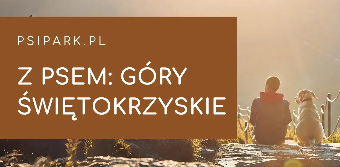 Gdzie z psem w Świętokrzyskim? Najlepsze trasy i miejsca dla psów