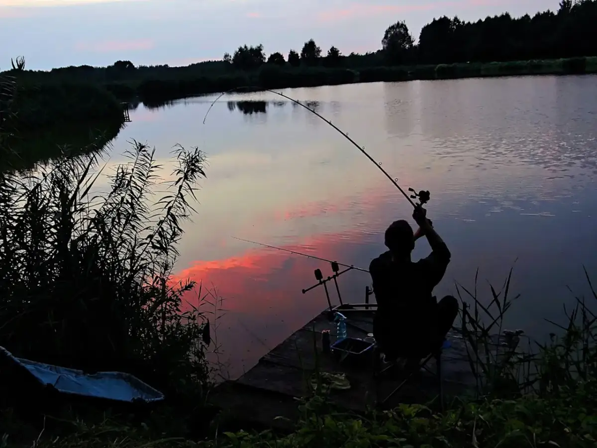 Wędkarz łowiący na feeder przy zachodzie słońca nad jeziorem.